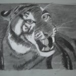 2e photo tigre samuel
