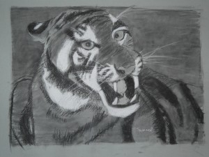 2e photo tigre samuel
